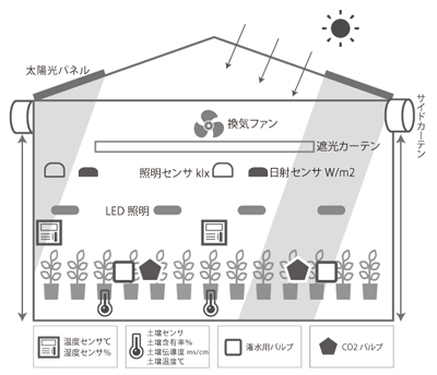 ソーラーシェアリング型のハイブリッドビニールハウスの図